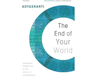book cover of the end of your world