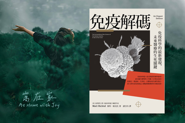 免疫解碼 – 優雅與平衡的防禦